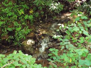 Lots 537 & 538 Deep Hollow Road , Gatlinburg, TN 37738 (#186740) :: The Terrell Team Lots 537 & 538 Deep Hollow Road , Gatlinburg, TN 37738 (#186740) :: The Terrell Team