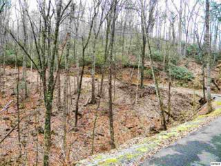 Lot 10 Buena Vista Dr , Sevierville, TN 37876 (#187455) :: The Terrell Team Lot 10 Buena Vista Dr , Sevierville, TN 37876 (#187455) :: The Terrell Team