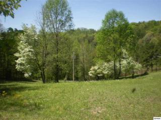 Parcel 65.13 Timber Lake Way , Cosby, TN 37722 (#187524) :: The Terrell Team Parcel 65.13 Timber Lake Way , Cosby, TN 37722 (#187524) :: The Terrell Team