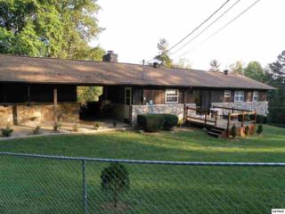 136 Cheyene Circle , Cosby, TN 37722 (#188697) :: The Terrell Team 136 Cheyene Circle , Cosby, TN 37722 (#188697) :: The Terrell Team