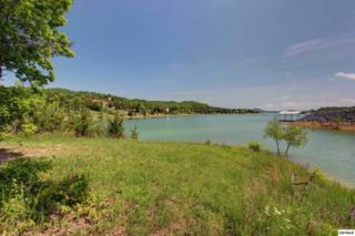 L3 Harbor Point Drive , Sevierville, TN 37876 (#189288) :: The Terrell Team L3 Harbor Point Drive , Sevierville, TN 37876 (#189288) :: The Terrell Team