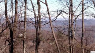 Parcel B 041.00 Chestnut Drive , Gatlinburg, TN 37738 (#191005) :: The Terrell Team Parcel B 041.00 Chestnut Drive , Gatlinburg, TN 37738 (#191005) :: The Terrell Team