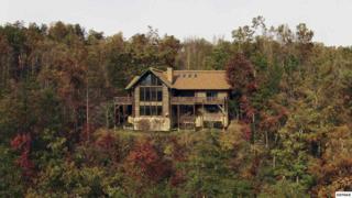 310 Matterhorn Drive , Gatlinburg, TN 37738 (#192461) :: The Terrell Team 310 Matterhorn Drive , Gatlinburg, TN 37738 (#192461) :: The Terrell Team
