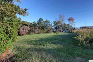L45 Fisherman Street , Kodak, TN 37764 (#192781) :: The Terrell Team L45 Fisherman Street , Kodak, TN 37764 (#192781) :: The Terrell Team