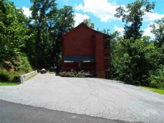 1508 Chipmunk Way , Sevierville, TN 37862 (#187258) :: The Terrell Team 1508 Chipmunk Way , Sevierville, TN 37862 (#187258) :: The Terrell Team