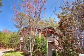 1311 Ski View Ln High Country, Sevierville, TN 37876 (#190051) :: The Terrell Team 1311 Ski View Ln High Country, Sevierville, TN 37876 (#190051) :: The Terrell Team