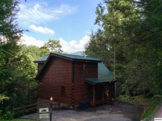 756 Yona Trail Way "Hill Haven", Gatlinburg, TN 37738 (#187501) :: The Terrell Team 756 Yona Trail Way "Hill Haven", Gatlinburg, TN 37738 (#187501) :: The Terrell Team
