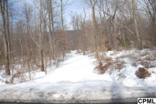 Corner of Poplar Ridge Lane & Rt 325 , Dauphin, PA 17018 (MLS #10265397) :: Teampete Realty Services, Inc Corner of Poplar Ridge Lane & Rt 325 , Dauphin, PA 17018 (MLS #10265397) :: Teampete Realty Services, Inc