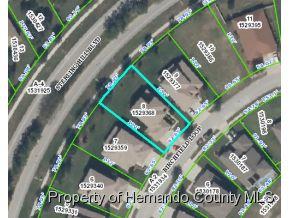 4481 Birchfield Loop , Spring Hill, FL 34609 (MLS #2158565) :: The Hardy Team - RE/MAX Marketing Specialists 4481 Birchfield Loop , Spring Hill, FL 34609 (MLS #2158565) :: The Hardy Team - RE/MAX Marketing Specialists