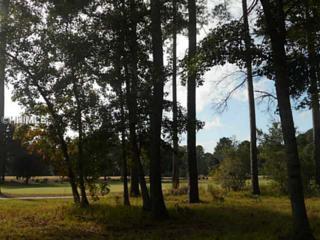18 Barleys Grv , Okatie, SC 29909 (MLS #333711) :: Collins Group Realty 18 Barleys Grv , Okatie, SC 29909 (MLS #333711) :: Collins Group Realty