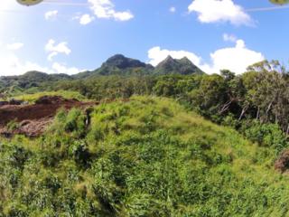 240 Kalanianaole Highway Lot 19, Kailua, HI 96734 (MLS #201501577) :: Team Lally 240 Kalanianaole Highway Lot 19, Kailua, HI 96734 (MLS #201501577) :: Team Lally