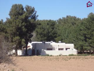 4080 Rocky Acres Trail , Las Cruces, NM 88007 (MLS #1500657) :: Steinborn & Associates Real Estate 4080 Rocky Acres Trail , Las Cruces, NM 88007 (MLS #1500657) :: Steinborn & Associates Real Estate