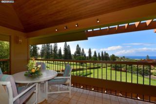 50 Puu Anoano St 1504, Lahaina, HI 96761 (MLS #363753) :: Elite Pacific Properties LLC 50 Puu Anoano St 1504, Lahaina, HI 96761 (MLS #363753) :: Elite Pacific Properties LLC