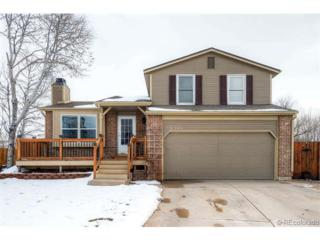 8340 Wild Alfalfa Place , Parker, CO 80134 (#3790189) :: The Peak Properties Group 8340 Wild Alfalfa Place , Parker, CO 80134 (#3790189) :: The Peak Properties Group