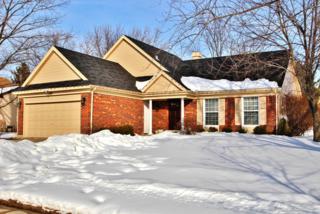 189 Larchmont Lane , Bloomingdale, IL 60108 (MLS #08853287) :: The Lifestyles By Joe Team 189 Larchmont Lane , Bloomingdale, IL 60108 (MLS #08853287) :: The Lifestyles By Joe Team
