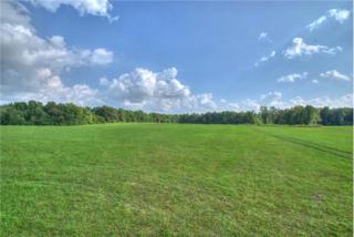 0 C Walker , Smithville, TN 37166 (MLS #1611932) :: EXIT Realty Bob Lamb & Associates 0 C Walker , Smithville, TN 37166 (MLS #1611932) :: EXIT Realty Bob Lamb & Associates