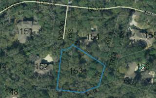 103 Wood Ibis , Fernandina Beach/Amelia Island, FL 32034 (MLS #63677) :: Berkshire Hathaway HomeServices Chaplin Williams Realty 103 Wood Ibis , Fernandina Beach/Amelia Island, FL 32034 (MLS #63677) :: Berkshire Hathaway HomeServices Chaplin Williams Realty