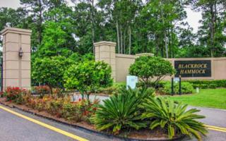 LOT 27 Southern Pride Court , Yulee, FL 32097 (MLS #61811) :: Berkshire Hathaway HomeServices Chaplin Williams Realty LOT 27 Southern Pride Court , Yulee, FL 32097 (MLS #61811) :: Berkshire Hathaway HomeServices Chaplin Williams Realty