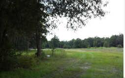 48156 Tracer Trail , Hilliard, FL 32046 (MLS #63876) :: Berkshire Hathaway HomeServices Chaplin Williams Realty 48156 Tracer Trail , Hilliard, FL 32046 (MLS #63876) :: Berkshire Hathaway HomeServices Chaplin Williams Realty