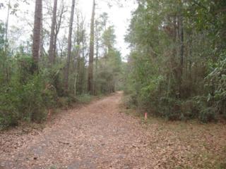 6382 Columbia St , Keystone Heights, FL 32656 (MLS #453564) :: EXIT Real Estate Gallery 6382 Columbia St , Keystone Heights, FL 32656 (MLS #453564) :: EXIT Real Estate Gallery