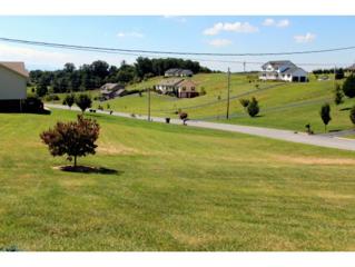 151 Mulberry Bend , Jonesborough, TN 37659 (MLS #338970) :: Jim Griffin Team 151 Mulberry Bend , Jonesborough, TN 37659 (MLS #338970) :: Jim Griffin Team