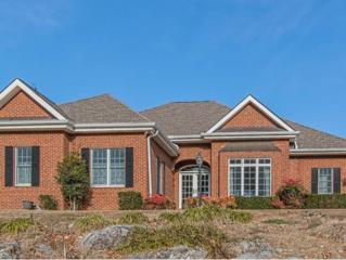 100 Western Gailes Lane , Chuckey, TN 37641 (MLS #342578) :: Jim Griffin Team 100 Western Gailes Lane , Chuckey, TN 37641 (MLS #342578) :: Jim Griffin Team