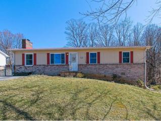 162 Timber Ridge Rd. , Jonesborough, TN 37658 (MLS #345342) :: Jim Griffin Team 162 Timber Ridge Rd. , Jonesborough, TN 37658 (MLS #345342) :: Jim Griffin Team