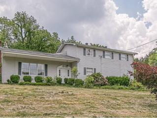 330 Proffitt Lane , Kingsport, TN 37663 (MLS #349226) :: Jim Griffin Team 330 Proffitt Lane , Kingsport, TN 37663 (MLS #349226) :: Jim Griffin Team