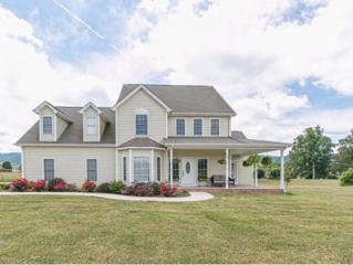 193 Old Stage Dr. , Bristol, TN 37620 (MLS #349888) :: Jim Griffin Team 193 Old Stage Dr. , Bristol, TN 37620 (MLS #349888) :: Jim Griffin Team