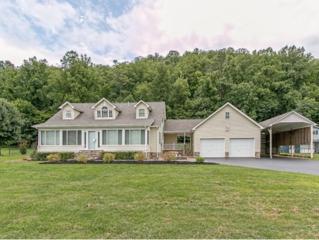 823 Deerfield Lane , Hampton, TN 37658 (MLS #352493) :: Jim Griffin Team 823 Deerfield Lane , Hampton, TN 37658 (MLS #352493) :: Jim Griffin Team
