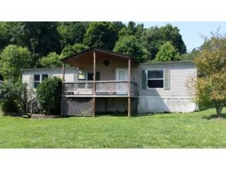 542 D Droke Road , Piney Flats, TN 37686 (MLS #352865) :: Jim Griffin Team 542 D Droke Road , Piney Flats, TN 37686 (MLS #352865) :: Jim Griffin Team