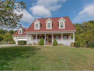 910 Poteat Lane , Fall Branch, TN 37656 (MLS #353673) :: Jim Griffin Team 910 Poteat Lane , Fall Branch, TN 37656 (MLS #353673) :: Jim Griffin Team