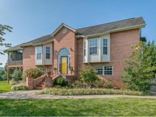 128 Old Mill Court , Kingsport, TN 37664 (MLS #354085) :: Jim Griffin Team 128 Old Mill Court , Kingsport, TN 37664 (MLS #354085) :: Jim Griffin Team