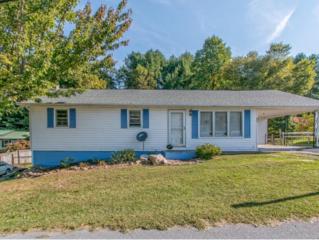 341 Peters Hollow Road , Elizabethton, TN 37643 (MLS #354568) :: Jim Griffin Team 341 Peters Hollow Road , Elizabethton, TN 37643 (MLS #354568) :: Jim Griffin Team