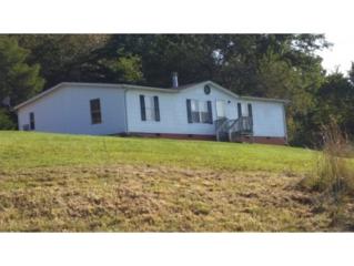 129 Dale View Drive , Blountville, TN 37617 (MLS #354701) :: Jim Griffin Team 129 Dale View Drive , Blountville, TN 37617 (MLS #354701) :: Jim Griffin Team