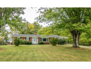 1531 Sunnydale Road , Greeneville, TN 37743 (MLS #354792) :: Jim Griffin Team 1531 Sunnydale Road , Greeneville, TN 37743 (MLS #354792) :: Jim Griffin Team