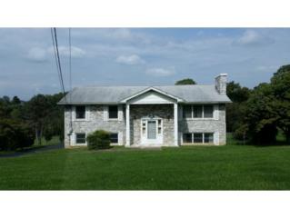 118 Patrick Henry Circle , Kingsport, TN 37663 (MLS #354937) :: Jim Griffin Team 118 Patrick Henry Circle , Kingsport, TN 37663 (MLS #354937) :: Jim Griffin Team