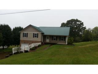 90 Wooded Heights , Greeneville, TN 37743 (MLS #355046) :: Jim Griffin Team 90 Wooded Heights , Greeneville, TN 37743 (MLS #355046) :: Jim Griffin Team