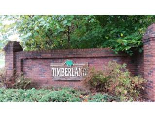 279 Timberland Circle , Kingsport, TN 37664 (MLS #355057) :: Jim Griffin Team 279 Timberland Circle , Kingsport, TN 37664 (MLS #355057) :: Jim Griffin Team