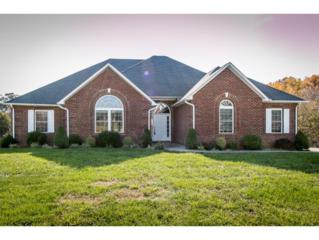 35 Chase Ct. , Greeneville, TN 37745 (MLS #355344) :: Jim Griffin Team 35 Chase Ct. , Greeneville, TN 37745 (MLS #355344) :: Jim Griffin Team