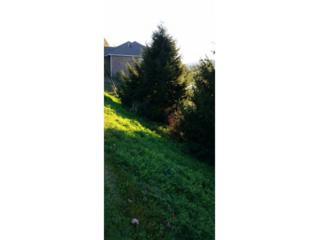 0 Country Club Drive , Unicoi, TN 37692 (MLS #355418) :: Jim Griffin Team 0 Country Club Drive , Unicoi, TN 37692 (MLS #355418) :: Jim Griffin Team