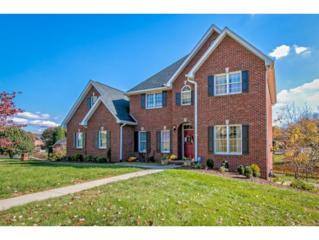 228 Southridge Dr. , Blountville, TN 37617 (MLS #355462) :: Jim Griffin Team 228 Southridge Dr. , Blountville, TN 37617 (MLS #355462) :: Jim Griffin Team