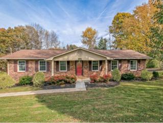 1706 Sundale Road , Johnson City, TN 37604 (MLS #355741) :: Jim Griffin Team 1706 Sundale Road , Johnson City, TN 37604 (MLS #355741) :: Jim Griffin Team
