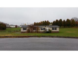 1111 Empress Ct. , Johnson City, TN 37615 (MLS #355891) :: Jim Griffin Team 1111 Empress Ct. , Johnson City, TN 37615 (MLS #355891) :: Jim Griffin Team