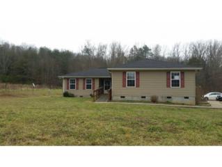 770 Oss Williams Rd , Limestone, TN 37681 (MLS #357055) :: Jim Griffin Team 770 Oss Williams Rd , Limestone, TN 37681 (MLS #357055) :: Jim Griffin Team