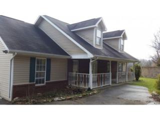 338 Bayberry Dr , Kingsport, TN 37663 (MLS #357111) :: Jim Griffin Team 338 Bayberry Dr , Kingsport, TN 37663 (MLS #357111) :: Jim Griffin Team