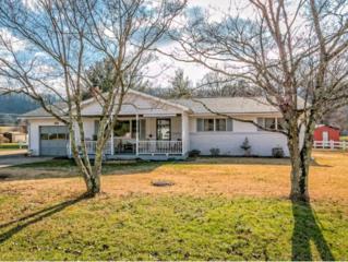 109 Tokibe Street , Elizabethton, TN 37643 (MLS #357191) :: Jim Griffin Team 109 Tokibe Street , Elizabethton, TN 37643 (MLS #357191) :: Jim Griffin Team