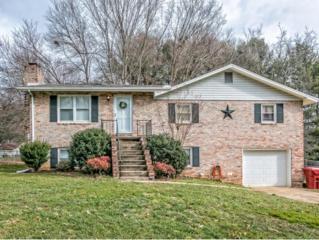 3804 Deepwood , Johnson City, TN 37601 (MLS #357625) :: Jim Griffin Team 3804 Deepwood , Johnson City, TN 37601 (MLS #357625) :: Jim Griffin Team