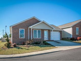 1003 Park Boulevard Cir. , Rogersville, TN 37857 (MLS #357695) :: Jim Griffin Team 1003 Park Boulevard Cir. , Rogersville, TN 37857 (MLS #357695) :: Jim Griffin Team