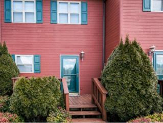 461 J A Hodge Rd. 7, Piney Flats, TN 37686 (MLS #357819) :: Jim Griffin Team 461 J A Hodge Rd. 7, Piney Flats, TN 37686 (MLS #357819) :: Jim Griffin Team